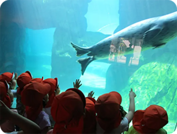 サンピアザ水族館遠足の様子